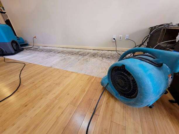 Professional Water Damage Repair technician working in Bellville, OH
